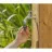 Коннектор садовый для крана GARDENA 3/4 PROFI DEBIT MAXIM