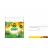 Fertilizant Compo ACTIUNE CONTROLATA GAZON DE TOAMNA,  4KG 200M