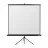 Ecran p-u proiector REFLECTA CRYSTAL-LINE, 125x125cm