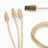 Cablu USB Cablexpert CC-USB2-AM31-1M, 3-in-1 MicroUSB,  Lightning,  Type-C - AM,  1.0 m,  BLACK