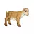 Figura Figuren Discounter IEDUT