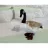 Decor Figuren Discounter GISCTE CANADIANE 38X18X43CM 2,4KG