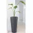 Ghiveci pentru flori Form Plastic DIAMOND SLIMD30 CM, H58,2 CM, V25 L, V5,5 L, ANTRACIT