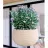 Ghiveci pentru flori Form Plastic KULA LINA D32 CM, H20 CM,V12,8 L, V5,5 L, CREM (JUTA)