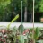 Держатель
 Windhager 16X1800 MM,METAL PLASTIC 617966
