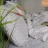 Lenjerie de pat Cottony SLPSL STRIPE SATIN LIGHT GRAY N9, 1 persoana, Satin de Lux, Gri