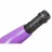 Microscop Levenhuk RAINBOW 50L PLUS AMETHYST