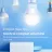 Bec LED TP-LINK TAPO L520E