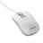 Mouse GEMBIRD MUSW-4B-06-WS