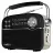 Boxa SVEN SRP-500 Black, FM/AM/SW Radio, 3W RMS, 8-band radio receiver, built-in audio files player from USB-fash, microSD and SD card storage devices, telescopic swivel antenna, built-in battery