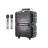 Boxa Hoco DS24 WIRELESS