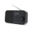Радиоприемник MUSE M-109 DB, Tuner DAB+, FM PLL Radio, Black