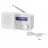 Радиоприемник SHARP DR-P420WHV01