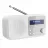 Радиоприемник SHARP DR-P420WHV01