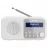 Радиоприемник SHARP DR-P420WHV01