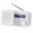 Радиоприемник SHARP DR-P420WHV01