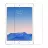 Защитное стекло HELMET Diamond Glass Apple iPad 10.2" (2019)
