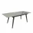 Masa DP PINA, Gri, 40-110x76