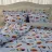 Lenjerie de pat LiLiMax

 KIDS COLLECTION CARS MCQUEEN 240X260, 2 persoane Euro, Ranforce, Albastru, Multicolor