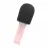 Microfon Forever with Speaker BMS-500, Pink