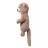 Jucarie BabyOno 0737 MOALE OTTER MAGIE
