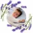 Termofor BabyOno 0796/02 DIN SEMINTE DE CIRESE GREY CHERRY