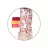 Jucarie BabyOno 1528 JUCARII TEETHER RABBIT MILLY, 3 luni+