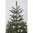Brad decorativ Divi trees COLLECTION NORMAN 2,4 * 80