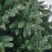 Brad decorativ Divi trees COLLECTION NORDMAN LED 1,8 * 55