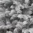 Brad decorativ Divi trees COLLECTION SERBIA 100 * 35
