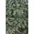 Brad decorativ Divi trees COLLECTION AMERICAN SILICON SMALL 1,8 * 65