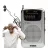 Radio portabil Noveen PR151 SILVER