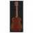 Chitara CM
 ACUSTICA HARLEY BENTON BLUES GUITAR SET