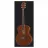 Chitara CM
 ACUSTICA HARLEY BENTON BLUES GUITAR SET