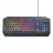 Gaming keyboard TRUST GXT 836 EVOCX, Illuminated Keyboard, rainbow wave RGB and soft-touch keys, 25 Key Anti-Ghosting, 12 direct access media keys, USB, US, Black