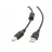 Cablu Cablexpert USB, AM/BM, 1.5 M, CCFB-USB2-AMBM-1.5M