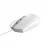 Mouse TRUST TM-101W OPTICAL MOUSE, 1200 DPI, 3 BUTTON, RIGHT-HANDED, LEFT-HANDED, USB, CABLE 1.6M, WHITE