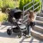 Carucior PM CARUCIOR DE PLIMBARE COLETTO DIZZI BLACK