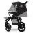 Carucior PM CARUCIOR LIONELO ANNET TOUR GOLDENMOMENTS
