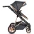Carucior PM CARUCIOR TRANSFORMABIL 2IN1 MONI MIDAS BLACK