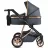 Carucior PM CARUCIOR TRANSFORMABIL 2IN1 MONI MIDAS BLACK