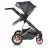 Carucior PM CARUCIOR TRANSFORMABIL 2IN1 MONI MIDAS BLACK
