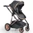 Carucior PM CARUCIOR TRANSFORMABIL 2IN1 MONI MIDAS BLACK