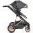 Carucior PM CARUCIOR TRANSFORMABIL 2IN1 MONI MIDAS BLACK