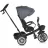Детский велосипед PM Tricicleta Moni Space Grey