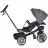 Детский велосипед PM Tricicleta Moni Space Grey