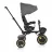 Bicicleta pentru copii PM TRICICLETA MONI ORION GREY