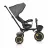 Bicicleta pentru copii PM TRICICLETA MONI ORION GREY