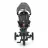 Bicicleta pentru copii PM TRICICLETA MONI ORION GREY