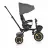 Bicicleta pentru copii PM TRICICLETA MONI ORION GREY